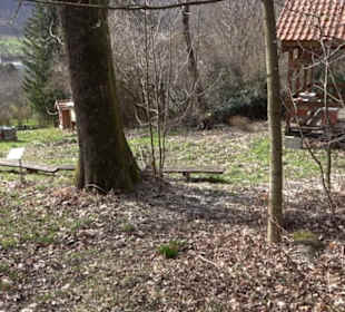 Bienenlehrpfad