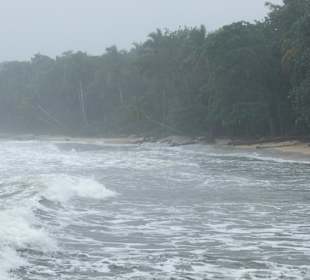 Wären wir bloß auf dem Schiff geblieben
