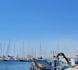 Yachthafen Hammamet Yasmine