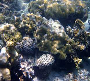 Underwater, fast am Hotelbeach