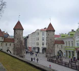 Baszty Viru