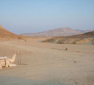 Wadi el Gimal
