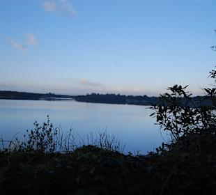 Park Narodowy Killarney