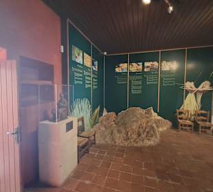 Museu de la Llata (Castell Capdepera)