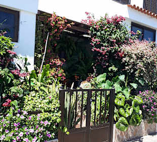 Stadtrundgang Jandia / Playa de Jandia