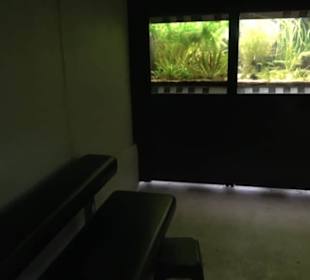 Aquarium