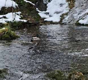 Wandern Bad Hindelang