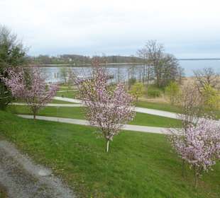 Schlosswirtschaft Herrenchiemsee