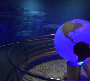 Palma Aquarium