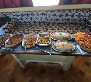 Delfinausflug mit Mo