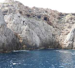 Schiffsausflug zum Cap Formentor mit Delfin Negro