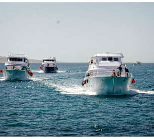 Geführte Touren Egypt Booking.com