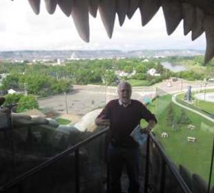 Im Maul eines Tyrannosaurus Rex