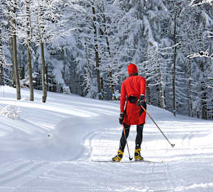 Sport & Freizeit