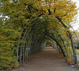 Altstadt Kolberg