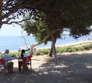 Hier unter Bäumen sitzt man gut