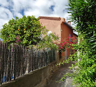 Frühling in der Altstadt von Collioure