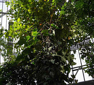 Anlage Planten un Blomen