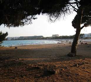 Naturschutzgebiet zwischen Sa Coma und Cala Millor