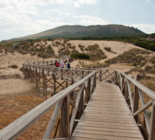 Holzsteg ins Naturschutzgebiet