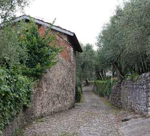 Zu Beginn des Weges!