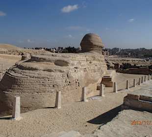 Der Sphinx