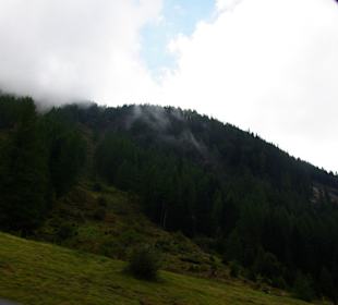 Die Gegend beim Plöcken