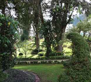 Hochland von Sri Lanka