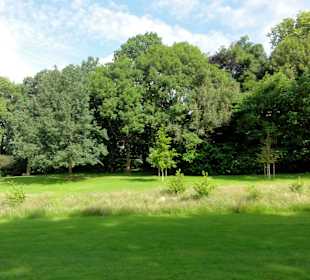 Spaziergang durch den Stadtpark