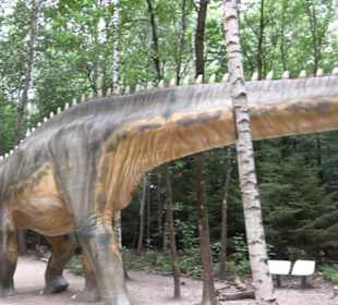 Dinosaurier Museum Altmühltal