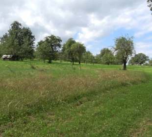 Hochgehnießen - Premiumspazierwanderweg