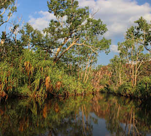 Kakadu NP