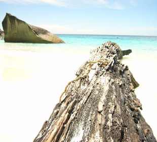 Similan Islands -Ausflug