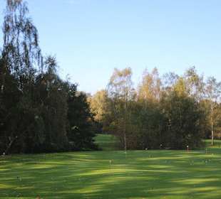 Wald umsäumte Fairways