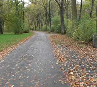 Waldfriedhof