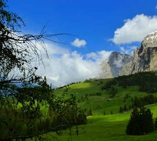 Blick zum Plattkofel