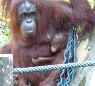 Keinen Meter entfernt