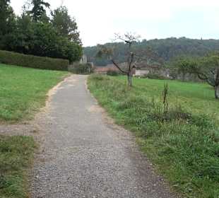 Altwege Rundwanderung Bebenhausen