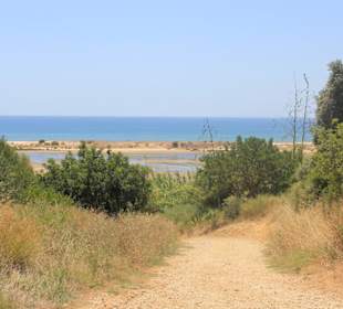 Blick in das Naturschutzgebiet