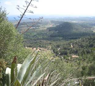 Castell de Santueri - toller Blick!