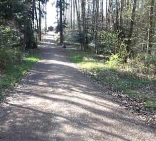 Wanderung Florianrunde