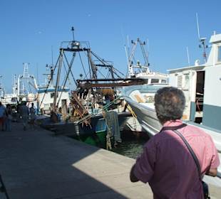 Fischereihafen in Denia