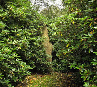 Кладбище Ольсдорф, Гамбург, 16 сентября 2013 года