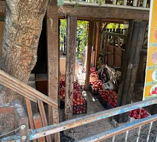 Wandern Göynük bei Kemer