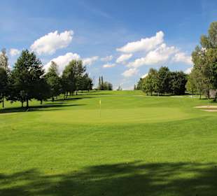 Hügeliges Gelände mit Bäumen