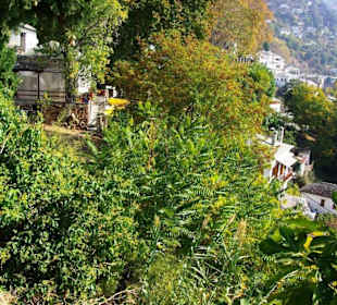 Volos  Pelion Gebirgslandschaft