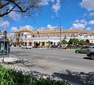 Plaza de Toros de La Maestranza (Stierkampfarena) 
