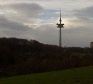 Kurz hinter Jagdhaus / Grenze.