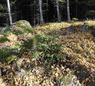 Riesengebirge/Karkonosze