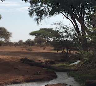 Tsavo West Nationalpark